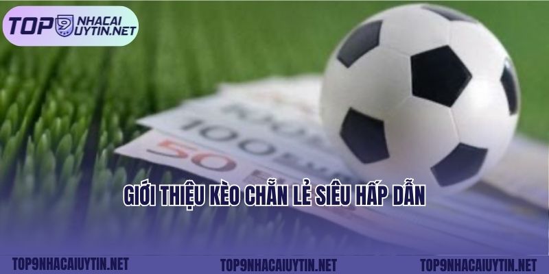 Giới thiệu kèo chẵn lẻ siêu hấp dẫn