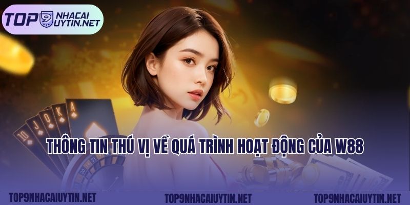 Thông tin thú vị về quá trình hoạt động của W88