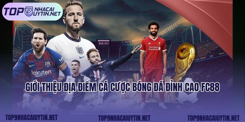 Giới thiệu địa điểm cá cược bóng đá đỉnh cao FC88