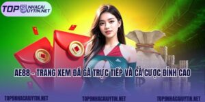 AE88 - Trang Xem Đá Gà Trực Tiếp Và Cá Cược Đỉnh Cao