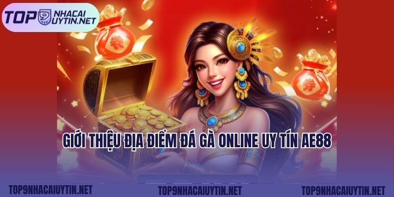 Giới thiệu địa điểm đá gà online uy tín AE88