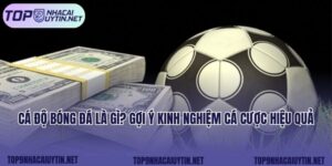 Cá Độ Bóng Đá Là Gì? Gợi Ý Kinh Nghiệm Cá Cược Hiệu Quả