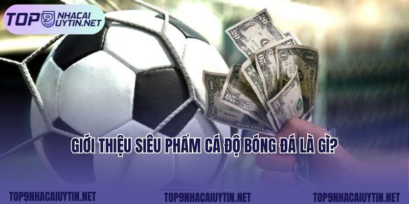 Giới thiệu siêu phẩm cá độ bóng đá là gì?