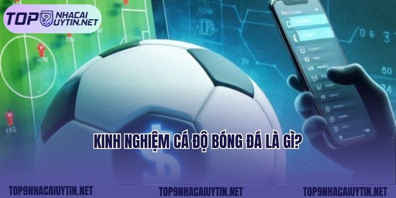 Kinh nghiệm cá độ bóng đá là gì?