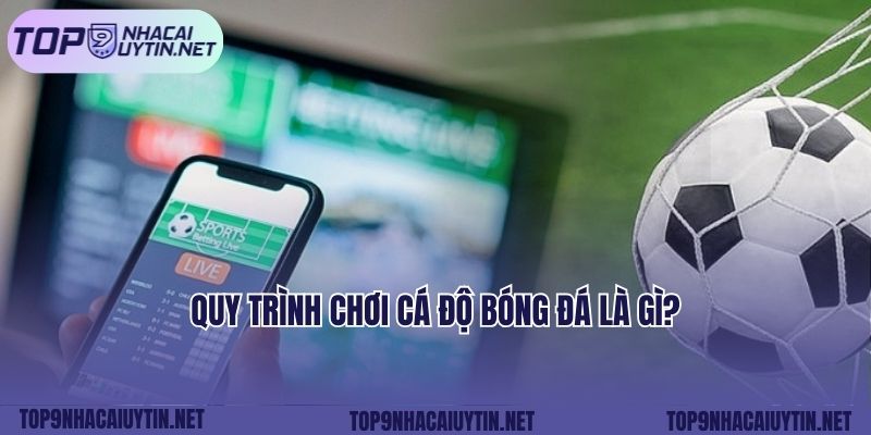 Quy trình chơi cá độ bóng đá là gì?